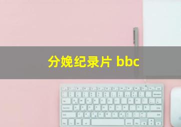 分娩纪录片 bbc